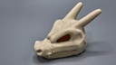 Charizard Skull